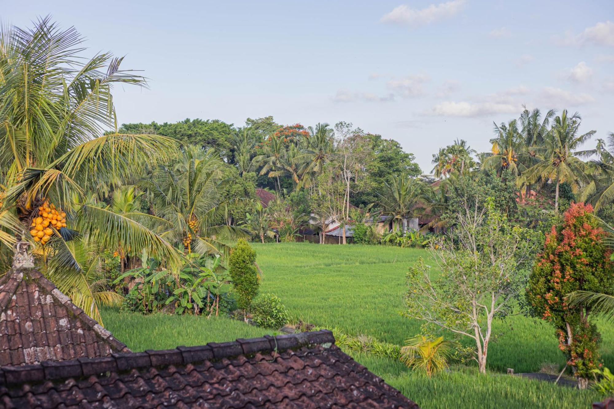 Sari Bamboo Bungalows Ubud  Room photo